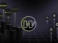 Wormhole 空投开启!完整领取教程、奖励细则与治理投票指南